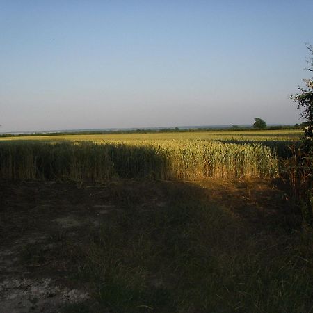 Cornfields ξενώνας Μπέντφορντ Εξωτερικό φωτογραφία